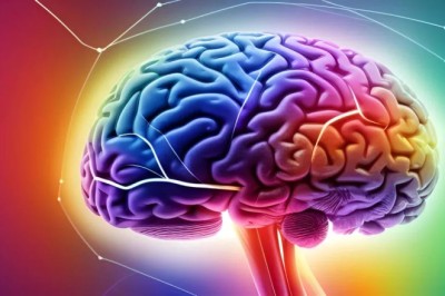 Devrim niteliğindeki 3D beyin taraması, milimetre boyutundaki bir örnekten 1.4 petabayt veri oluşturdu