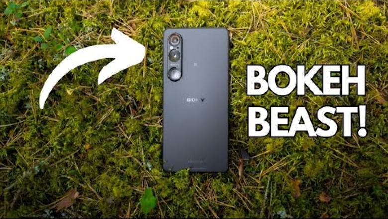 Xperia 1 VI sahada - Doğa Fotoğrafçılığı Testi